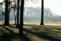 Image golf04