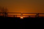 Image dsc_0291